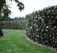 Quickhedge image 13